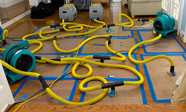 Professional Water Damage Restoration technician working in Athens, TX